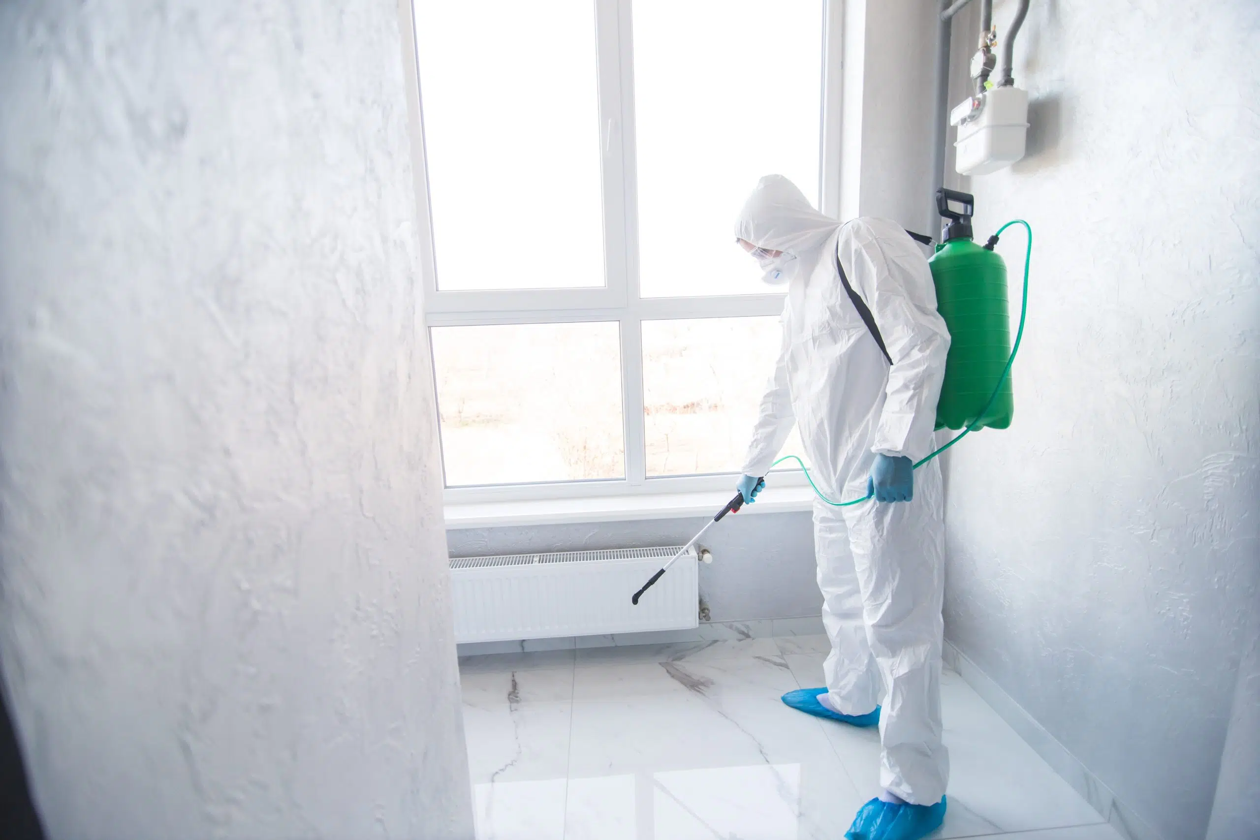 mould remediation Singapore - Mould Hero