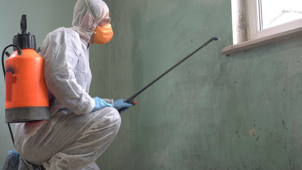 mould removal vs mould remediation - Mould Hero