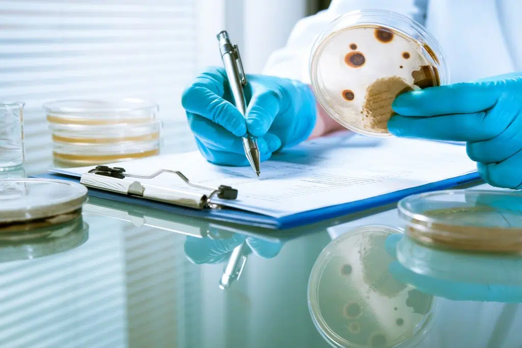 house mould inspection-service Singapore