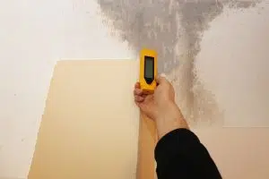 mould inspection Singapore by Mould Hero