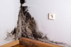 mould on walls treatment Singapore - Mould Hero