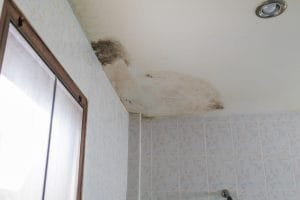 bathroom ceiling mould removal